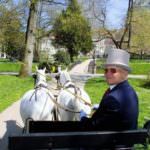 Kutscher in Allee Baden-Baden