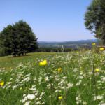 Tanzen-Urlaub-Thüringer Wald-Simmersbergblick